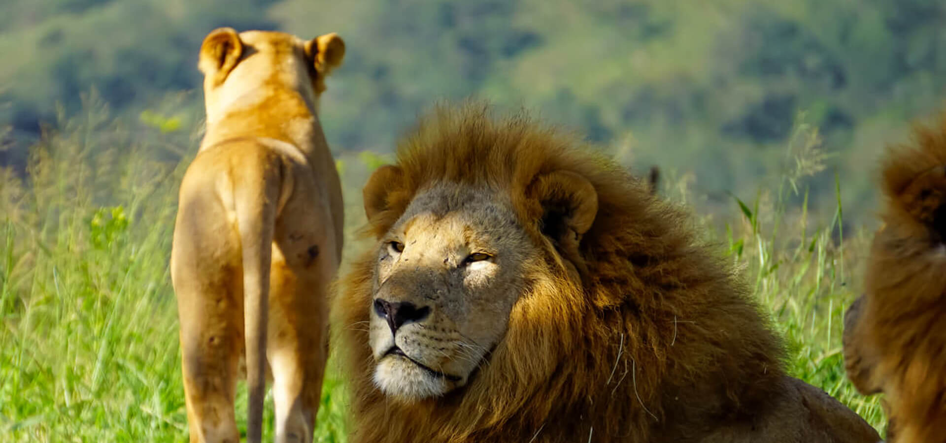 Parque Nacional Akagera