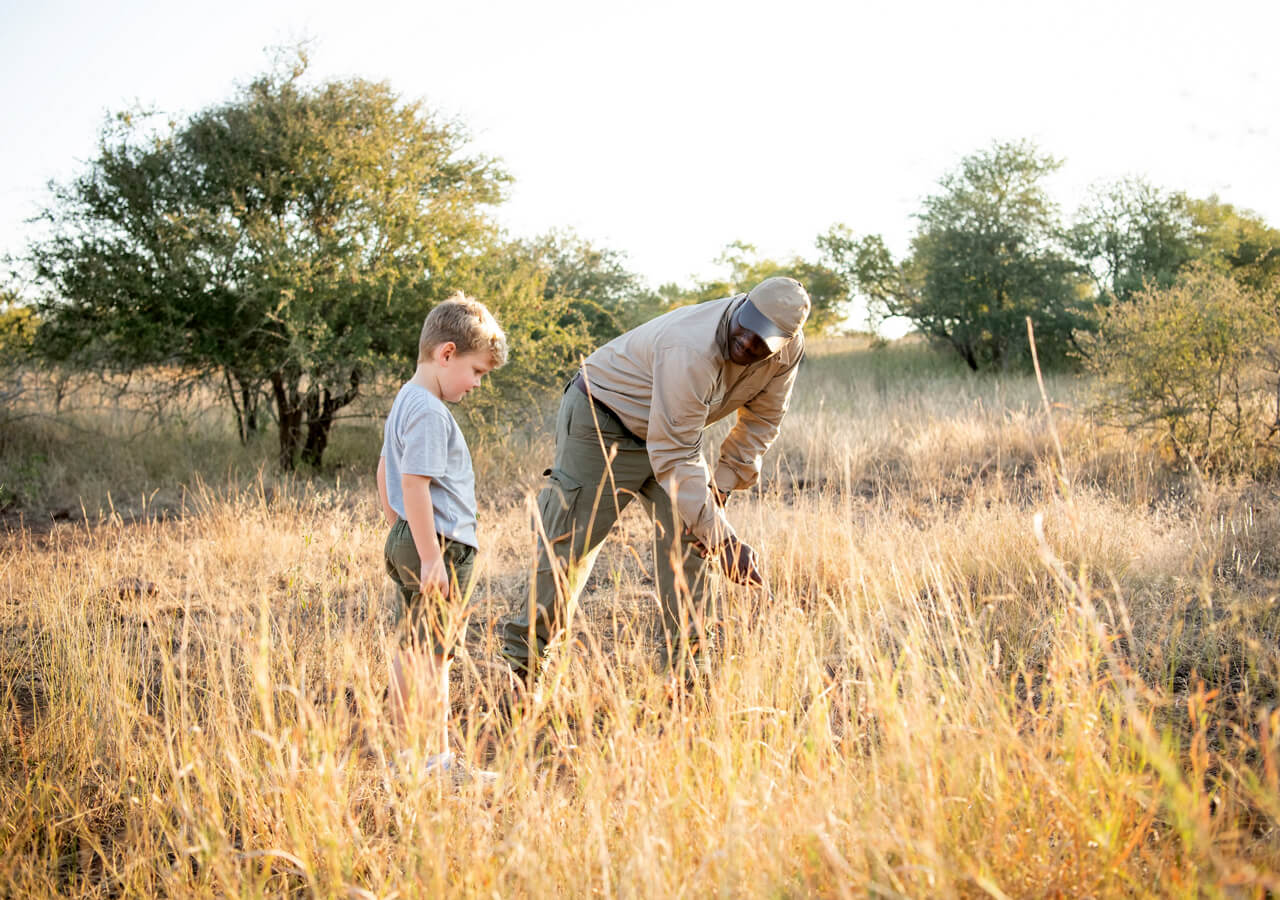 Paseos por la naturaleza