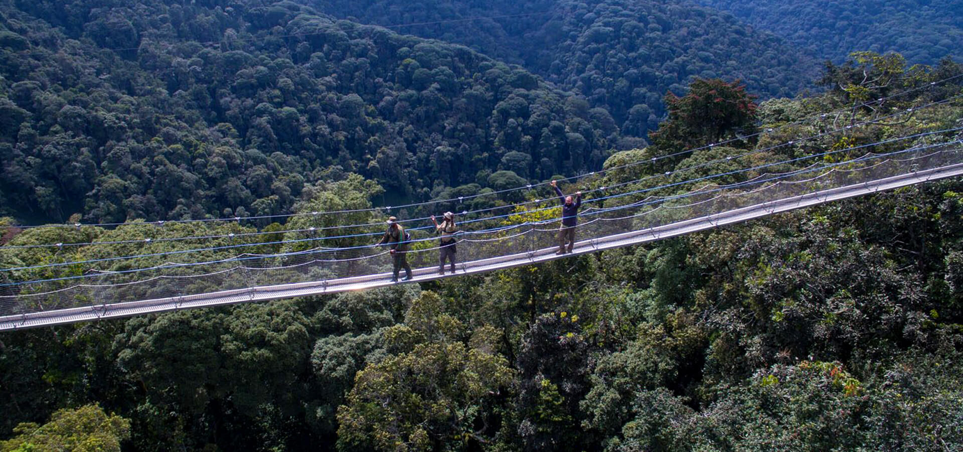 Parque Nacional del Bosque de Nyungwe