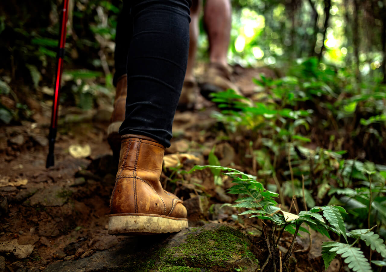 Senderismo y paseos por la naturaleza