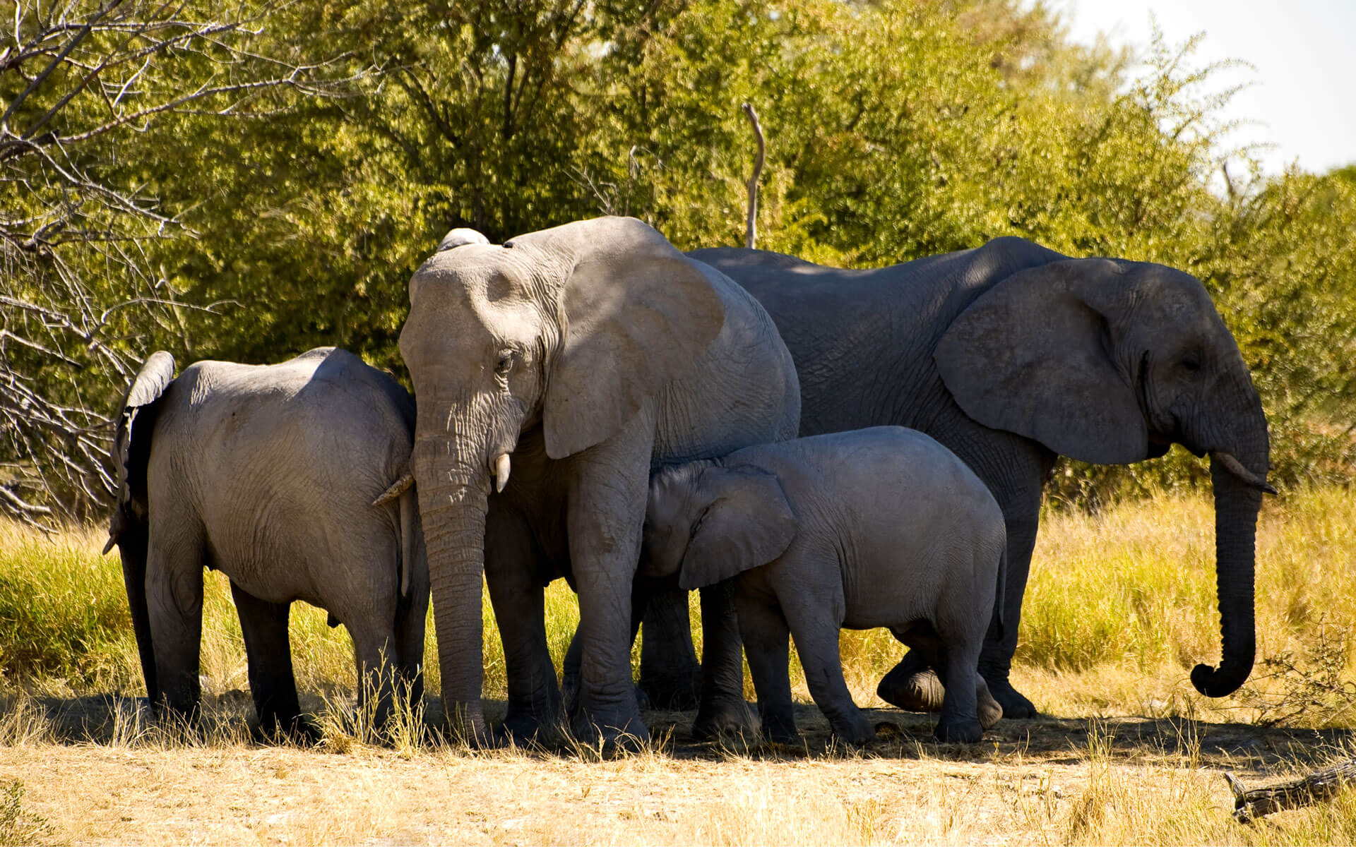 Lo mejor de Ruanda en 10 dias