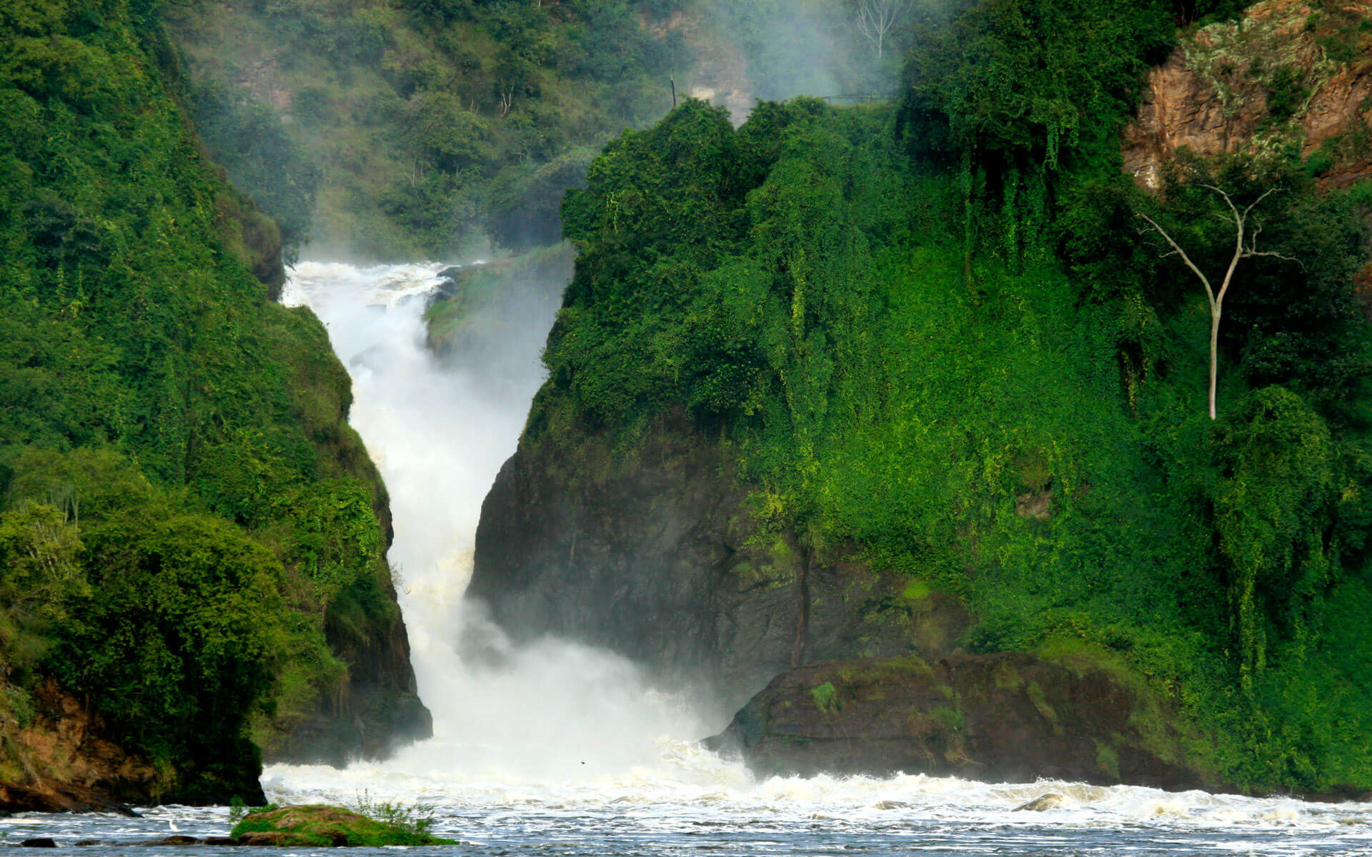 10 dias en Ruanda y Uganda