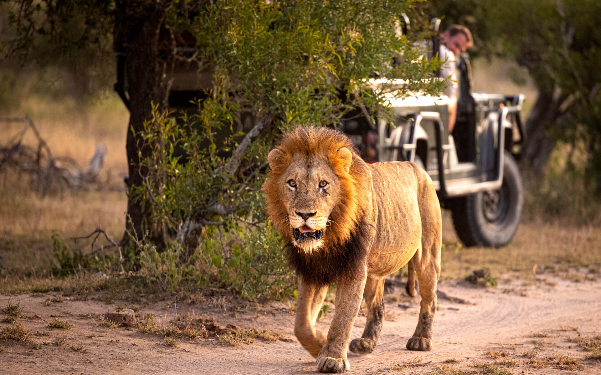 Safari de 7 dias de fauna y cultura